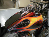 2003 Harley Davidson Softail Custom
