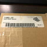 OEM Harley Black Chrome Skull Tour pak Decal Insert Touring Road Glide ultra FLH