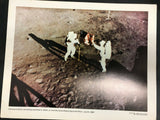 VINTAGE NASA PRINTS NATIONAL AERONAUTICS & SPACE ADMIN 1969 ALDRIN ARMSTRONG