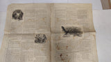 Lot of 14 Antique 1873-1874 The Child’s Paper & Our Morning Guide Newspapers
