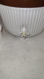 Vintage Coleman 1 Gallon Picnic Water Jug Cooler Butternut Brown White USA