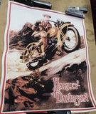 Vintage 30x24 1920's Touring Cruising Harley Davidson Poster Motorcycle Art