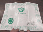 Cabbage Patch Kids Doll w/Box Adoption Papers Birth Certification Plaid Dress
