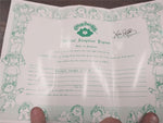 Cabbage Patch Kids Doll w/Box Adoption Papers Birth Certification Plaid Dress