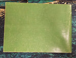 1975 Norton Triumph Trident T160 Maintenance Owners Handbook Manual 00-4222