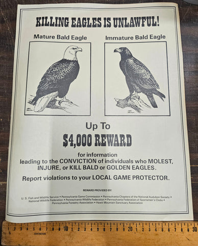 VTG RARE 1970s Wildlife Pennsylvania Game Commission No Killing Bald Eagles Sign