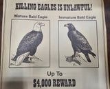 VTG RARE 1970s Wildlife Pennsylvania Game Commission No Killing Bald Eagles Sign