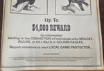 VTG RARE 1970s Wildlife Pennsylvania Game Commission No Killing Bald Eagles Sign
