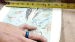 5 WILDLIFE POSTERS 1965 PENNSYLVANIA GAME COMMISSION-ARTWORK DONE BY NED SMITH