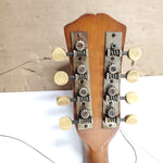 Vintage Banjo Mandolin Banjolin Vega Autographed Musicians Antique W case!