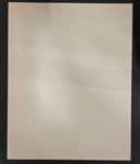 VTG 1978 Pennsylvania Game Commission "Do Not Drive On Fields" Warning Sign