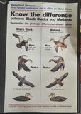 VTG U.S. Fish and Wildlife Sportsmen Waterfowl Hunters Black Duck Mallard Poster