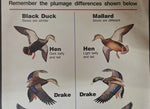 VTG U.S. Fish and Wildlife Sportsmen Waterfowl Hunters Black Duck Mallard Poster