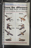 VTG U.S. Fish and Wildlife Sportsmen Waterfowl Hunters Black Duck Mallard Poster