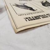 VTG RARE 1970s Wildlife Pennsylvania Game Commission No Killing Bald Eagles Sign