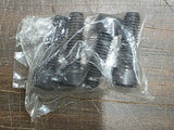 OEM Harley Davidson Holdfast Docking Hardware Bolt Kit Sissybar FXST 52300379