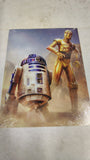 Star Wars C-3PO R2-D2 Tin Metal Sign Desperate Enterprises Home Bar Decor