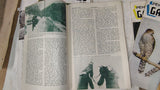Vintage Pennsylvania Game News Magazine Lot 1958 1959 8 Issues Hunting Wildlife