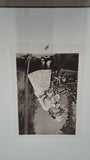 ARTISTS IMPERIAL EDITION CROWNED MASTERPIECES PAINTING LOUVRE PARIS PRINTS 1897