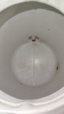 Vintage Coleman 1 Gallon Picnic Water Jug Cooler Butternut Brown White USA