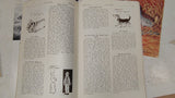 Vintage Pennsylvania Game News Magazine Lot 1958 1959 8 Issues Hunting Wildlife