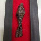 Authentic Medieval Crossbow Bolt Shadow Box Display 12th-16th Century AD Relic
