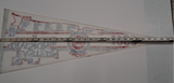 Vtg 1989 Chicago Cubs NL Eastern Division Champions Team Roster Pennant Felt