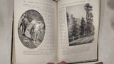 1909 John L Stoddard Lectures Supplementary Volume 4 Sicily Genoa Illustrated