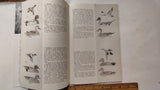 Vintage PA Game News Magazines & Forestry Ephemera Lot 1939-1974 Maps Booklet