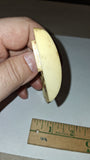 Vintage Franzite Faux Ivory Right Grip Panel Colt .44 Cal Army 1860 - 186L