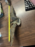 vintage style cast iron American Bald Eagle plaque