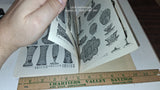 VTG 1967 Reprint - "Genuine Rich American Deep Cut Glass"- 1913 By D. James