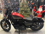 2021 Harley Davidson Sportster Iron 1200