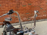 2002 Harley Davidson FLSTCI Heritage Softail Classic