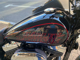 2016 Harley Davidson FXDL Dyna Low Rider