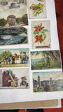 Lot of 22 Antique Vintage Postcards Early 1900s Litho Landscape Greetings