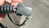 OEM GM Packard PED Relay Pigtail Wiring Harness Connector 12085503