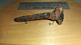 Ancient Roman Iron Nail Artifact 1st-5th Century AD Found Near Bath Eng Plaque