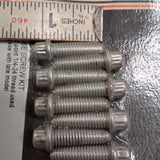 Colony Lifter Base Screw Kit - Pre-1976 Harley Cases w/ Late Lifters #8712-8