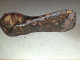 Antique Forged Iron Trade Axe Head Round Eye Biscayne Hatchet Colonial Relic