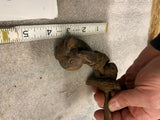Antique Victorian“Hand of Fatima” Cast Iron Door Knocker 1800's Camion Frères fo