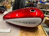 Ltd Edition Custom Paint Set Gas Tank Rear Fender Harley XG Street 500 750 OEM!