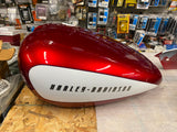 Ltd Edition Custom Paint Set Gas Tank Rear Fender Harley XG Street 500 750 OEM!