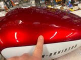 Ltd Edition Custom Paint Set Gas Tank Rear Fender Harley XG Street 500 750 OEM!