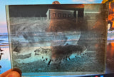 VTG Antique Early 1900s Glass Photo Negative Slide Photo Pig With Piglets Farm