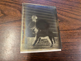 VTG Antique Early 1900s Glass Photo Negative Slide Photo Young Girl With Dog