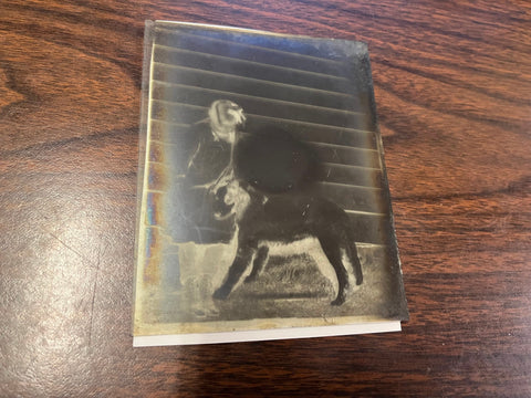 VTG Antique Early 1900s Glass Photo Negative Slide Photo Young Girl With Dog