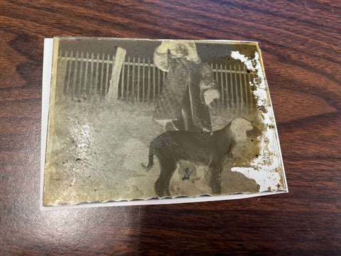 VTG Antique Early 1900s Glass Photo Negative Slide Photo Girl With Dog By Fence