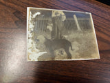 VTG Antique Early 1900s Glass Photo Negative Slide Photo Girl With Dog By Fence