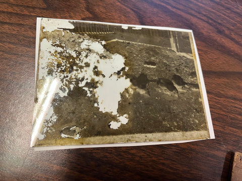VTG Antique Early 1900s Glass Photo Negative Slide Photo Farmhouse Ducks
